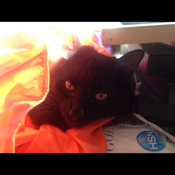 Meet your Posher, Debbie.Handmade jewelry - Picture 17 of 17